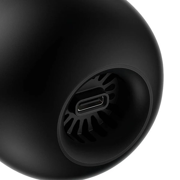 Baseus A2Pro Cordless Car Vacuum Cleaner 6000Pa (black) distributor