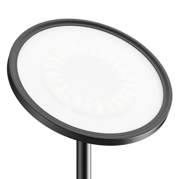 BlitzWill BWL-FL-0002 Smart Floor Lamp 25W (black) cena