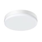 LED ceiling lamp BlitzWolf BW-LT38 with remote control, 24W