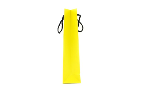 Baseus paper bag sk