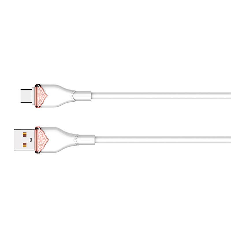 Rychlonabíjecí kabel LDNIO LS821 Type-C
