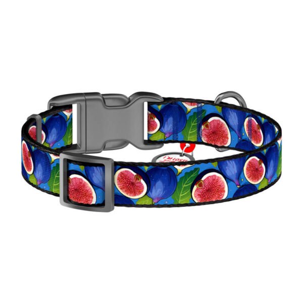 Nylon dog collar with QR code Waudog "Fig" size S navod