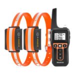 Súprava obojkov na diaľkové ovládanie Rojeco PD529 1000 m (oranžová)