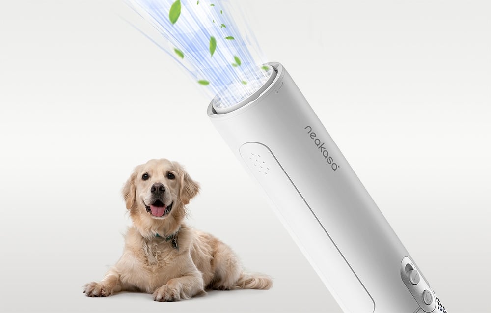 Biely sušič neakasa vyžaruje modré svetlo so zelenými čiastočkami, zatiaľ čo v pozadí leží svetlý zlatý retríver