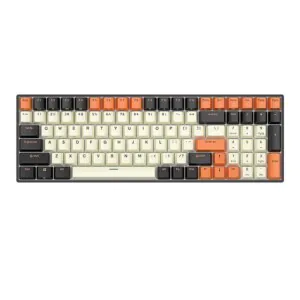 Mechanical keyboard Royal Kludge RK100 RGB