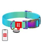 Nylonový obojok pre psov s QR kódom WAUDOG 15 mm široký, 25-35 cm dlhý modrý